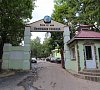 Отель Немецкая слобода (Чертовицы) Воронежская область фото