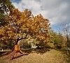 Санаторий Машук Пятигорск фото