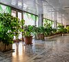Березовая роща Пензенская область - официальный сайт