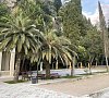 Отель Garden Resort Gagra Гагра фото
