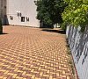Дельфин Архипо-Осиповка