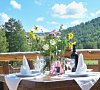 Лесотель Республика Алтай цены