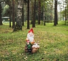 Санаторий Малые Соли Ярославская область фото Санаторий Малые Соли Ярославская область фото