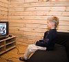 Денисов мыс Карелия цены