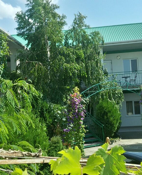 Гостевой дом «Анастасия» Николаевка, Крым
