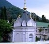 Отель «Лебедь» Новый Афон, Абхазия, отдых все включено №17